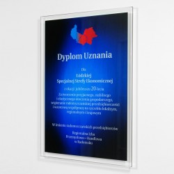 Glass Diploma DYP-1 Z(6)